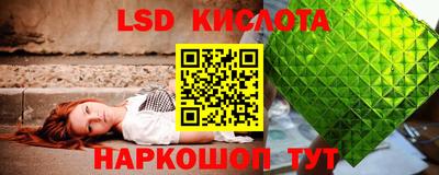 СК Краснознаменск