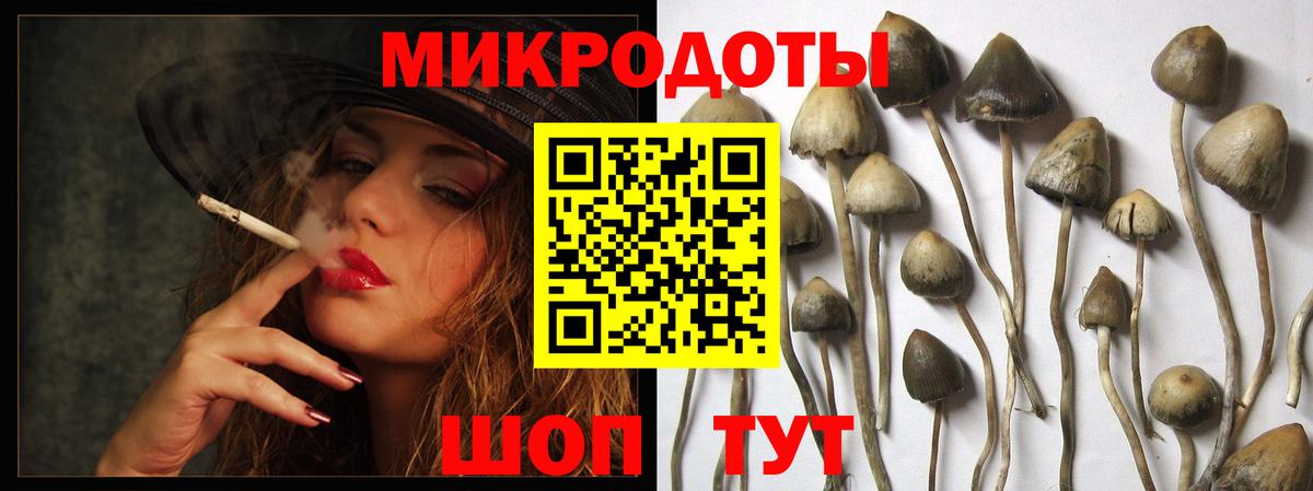 Галлюциногенные грибы Psilocybine cubensis  наркотики  Советск  Вход с VPN 